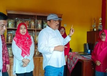 Bupati BU Resmikan RK UMKM di Rest Area Bukit Makmur